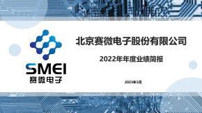 SMEI 2022 Annual Performance Briefing