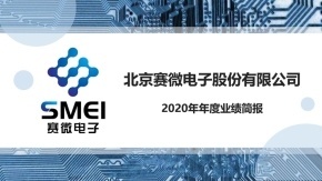 赛微电子2020年度业绩简报